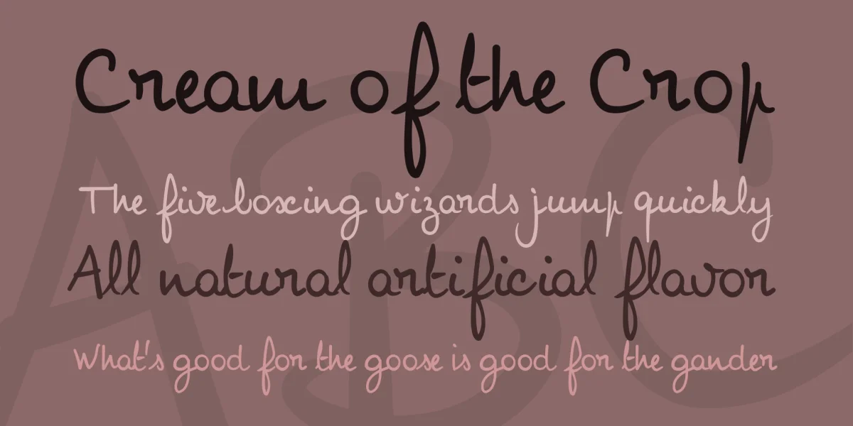 NoemieScript Font preview 2
