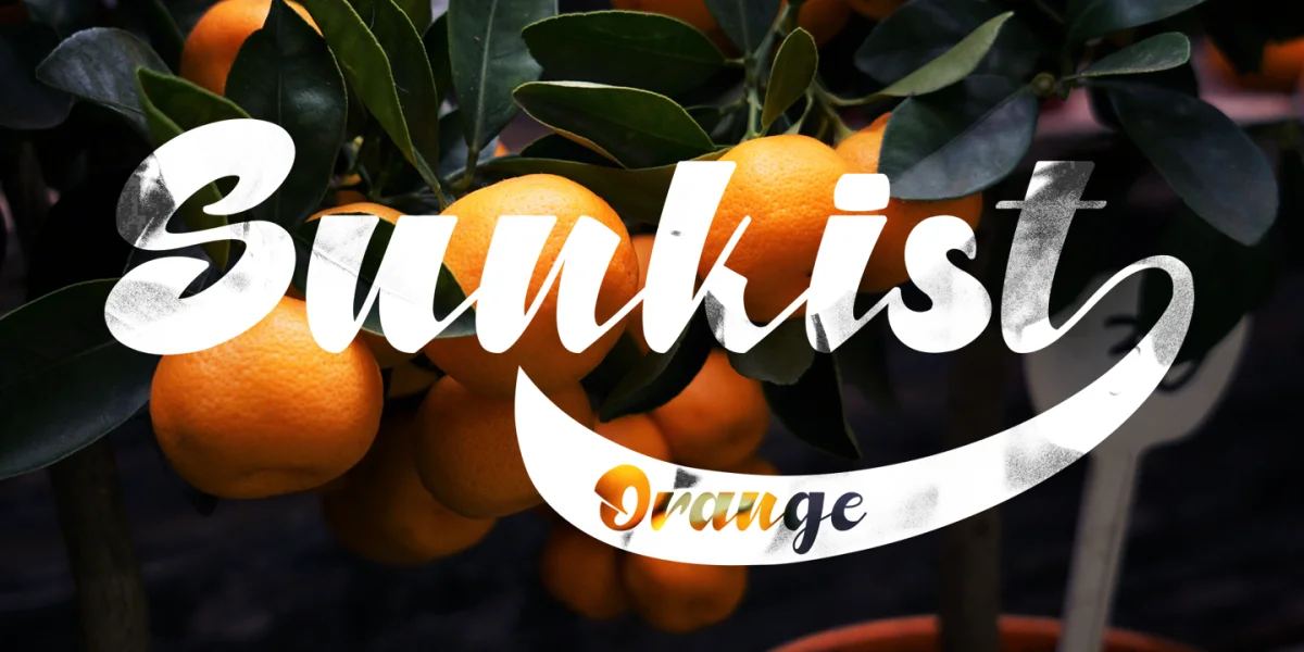 North Blue Font Family preview 5