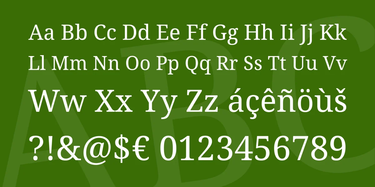 Noto Serif Font Family preview 4
