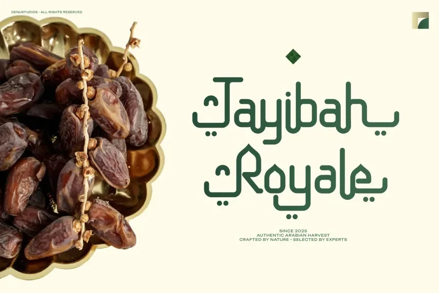 Nouriyah | Arabic Typeface preview 4