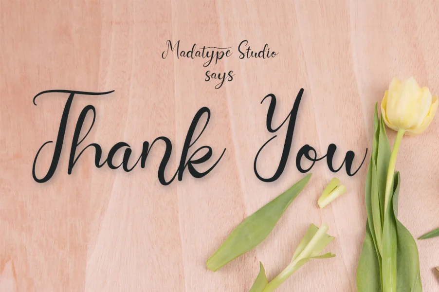Nurul Script Font preview 12