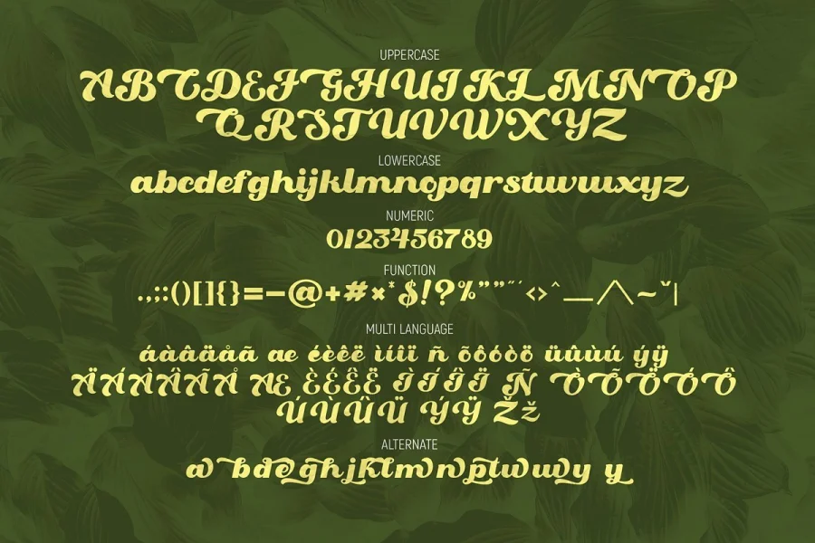 Oaklash Font preview 6