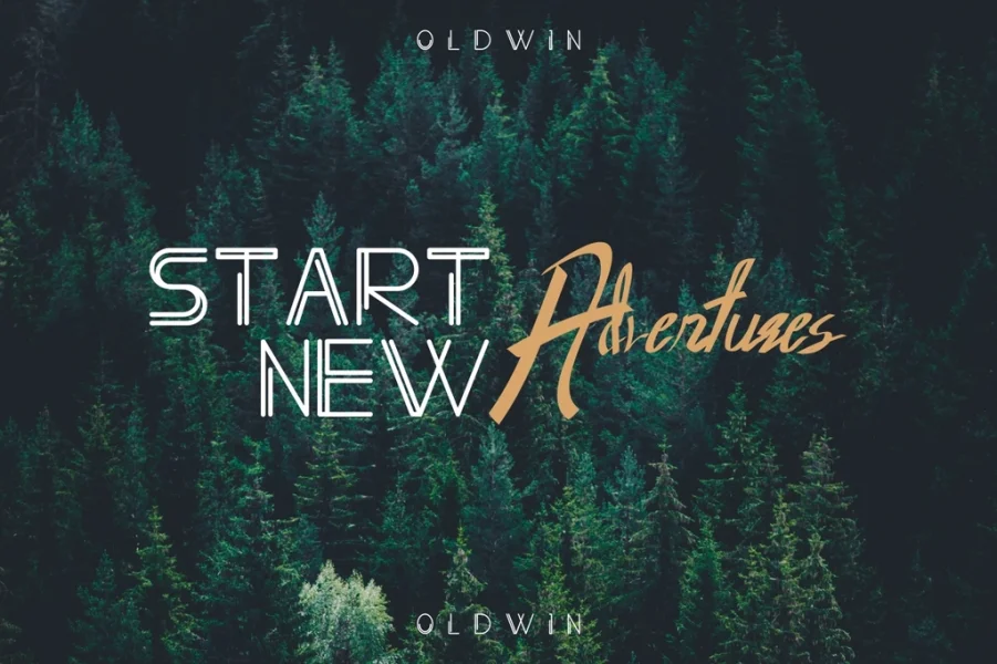 Oldwin Demo Font Family preview 5