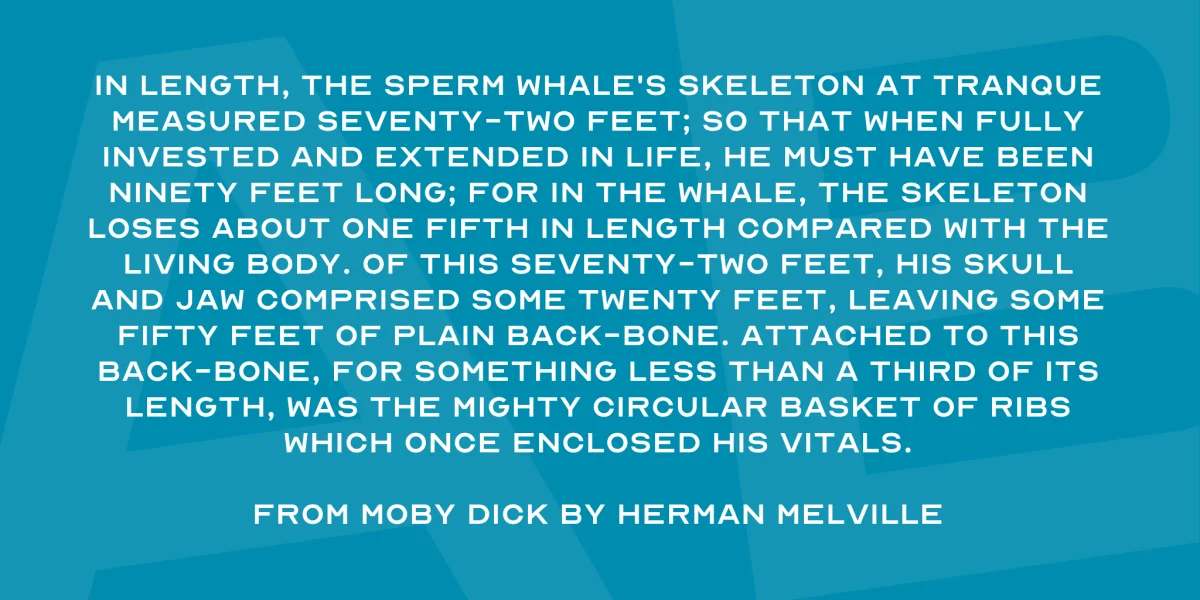 Optician Sans Font preview 3