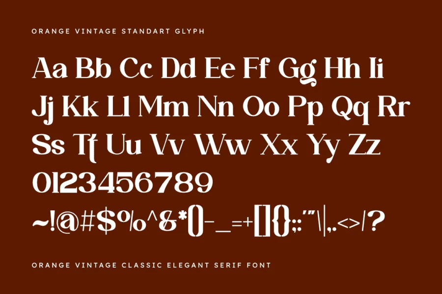 Orange Vintage Font preview 2