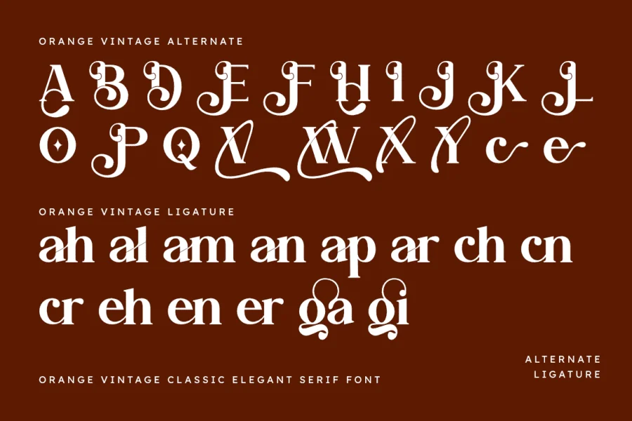 Orange Vintage Font preview 3