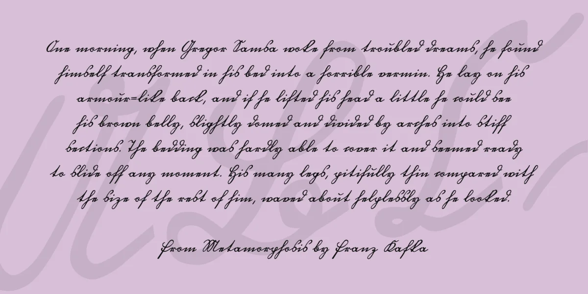 Ottilie U1AY Font preview 3