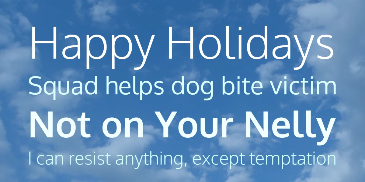 Oxygen Font Family preview 2