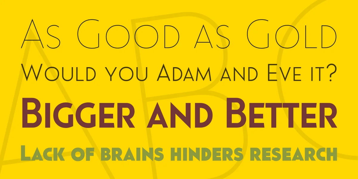 Pages Grotesque Font Family preview 3