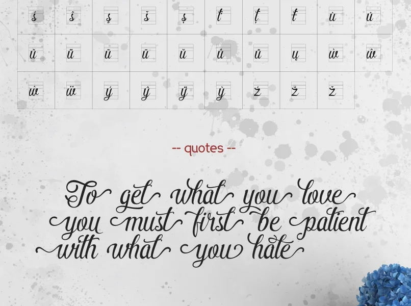 Pamega Script Font preview 15