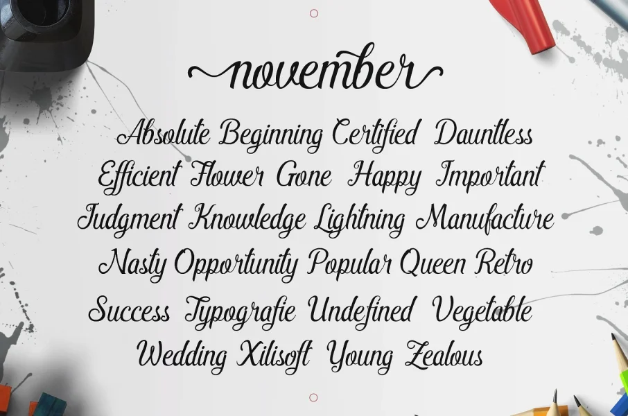 Pamega Script Font preview 4