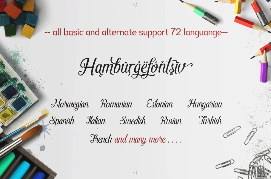 Pamega Script Font preview 5
