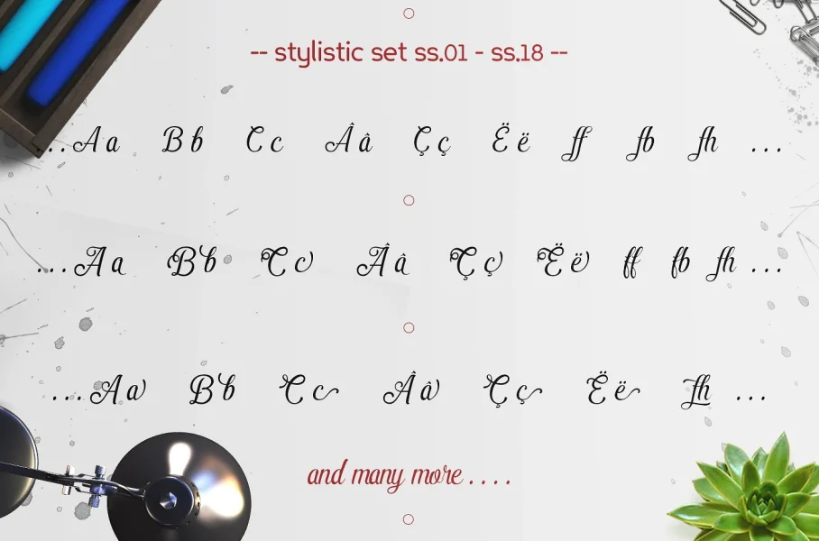 Pamega Script Font preview 6