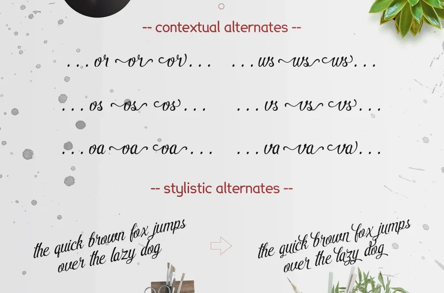 Pamega Script Font preview 7