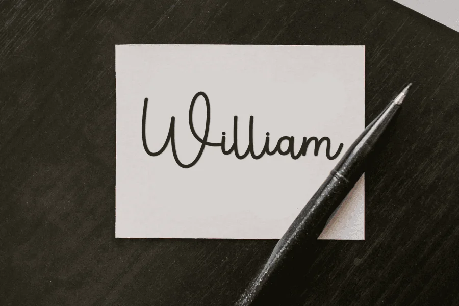Pauline Script Font preview 5