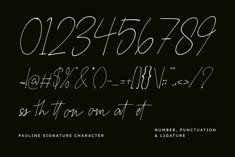 Pauline Signature Font preview 3