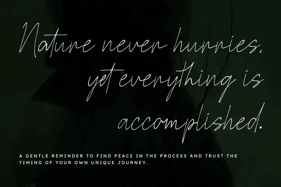 Pauline Signature Font preview 8