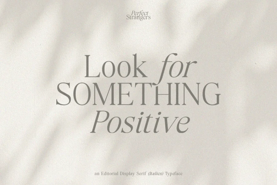 Perfect StrangersDemo Font Family preview 3