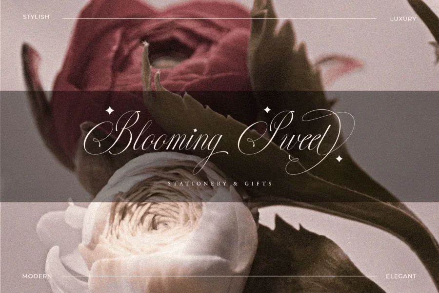 Perfections Font preview 14