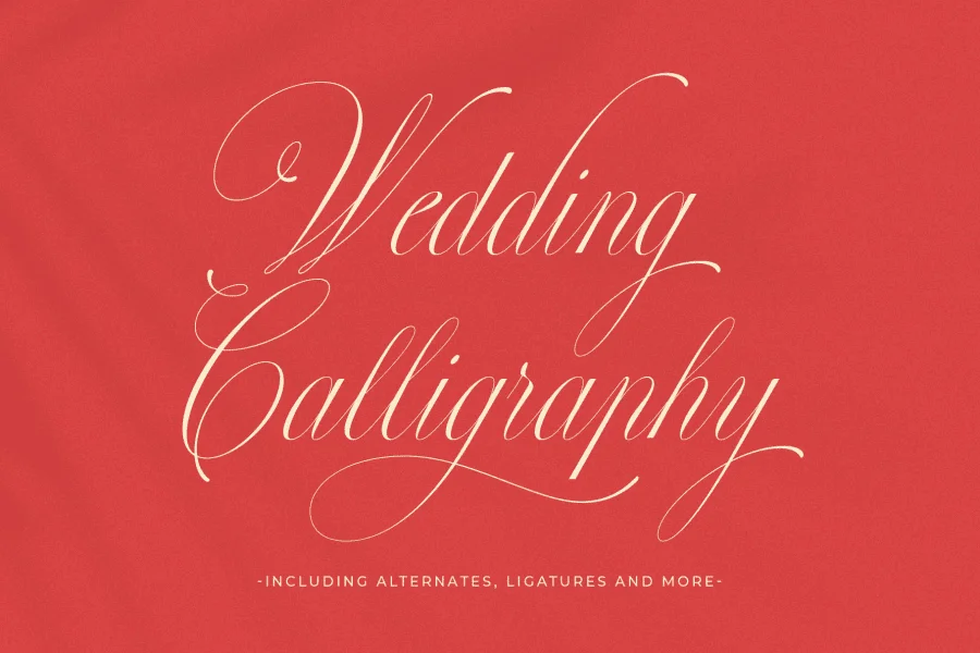 Perfections Font preview 15