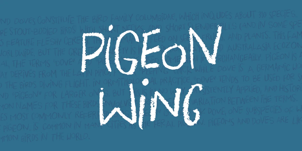 Pigeon Wing DEMO Font