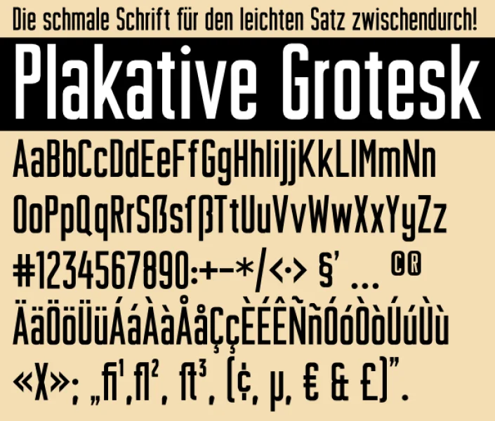 Plakative Grotesk Font
