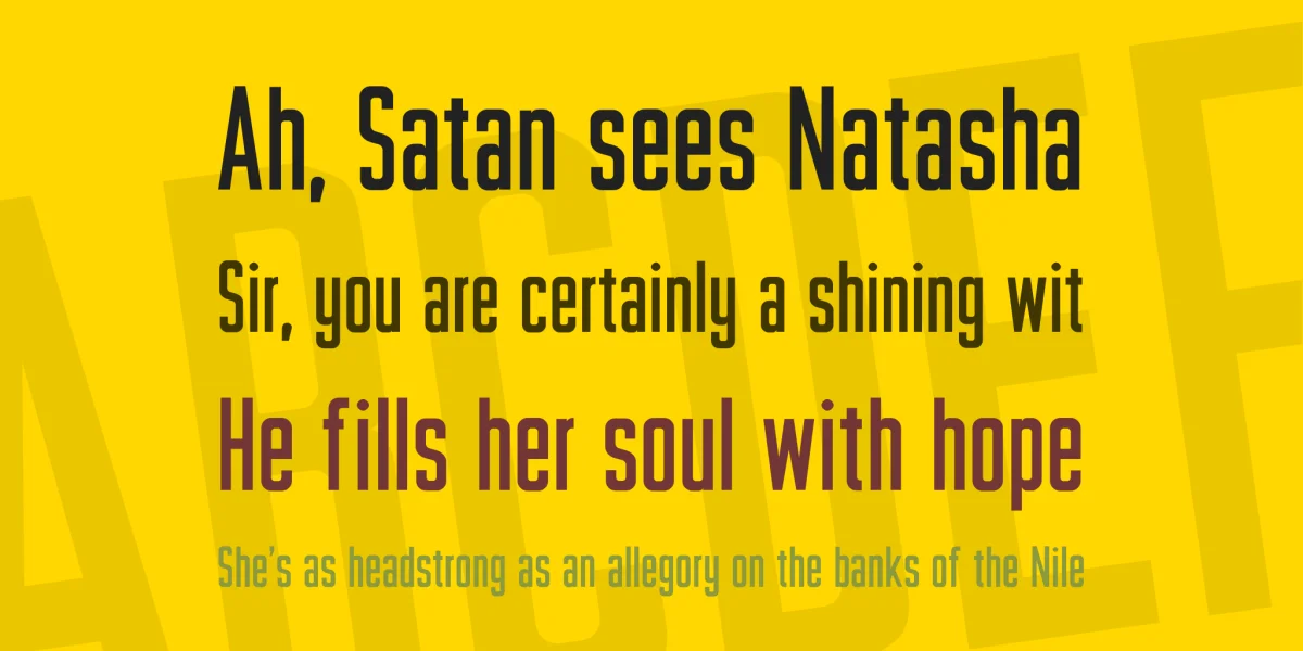 Plakative Grotesk Font preview 3