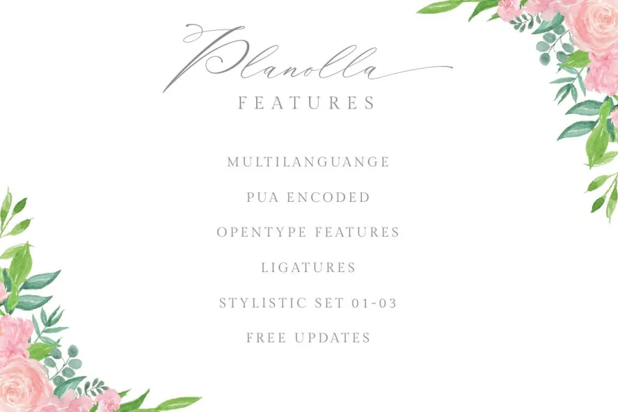 Planolla Font preview 6