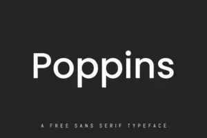 Poppins Font preview 4