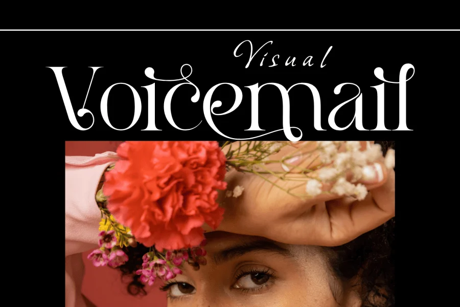 Practices Collection Demo Font preview 6