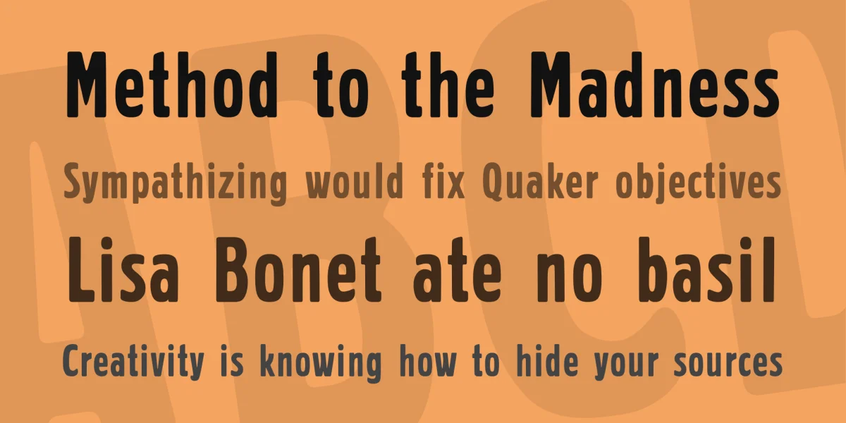 Prager Headlines Font preview 4