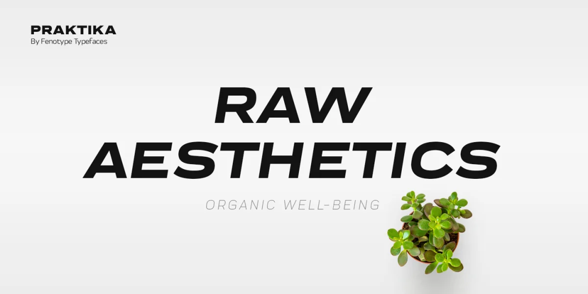 Praktika Font Family preview 16