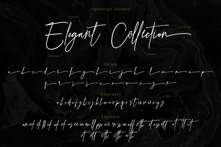 Prestige Signature Script Demo Font preview 6