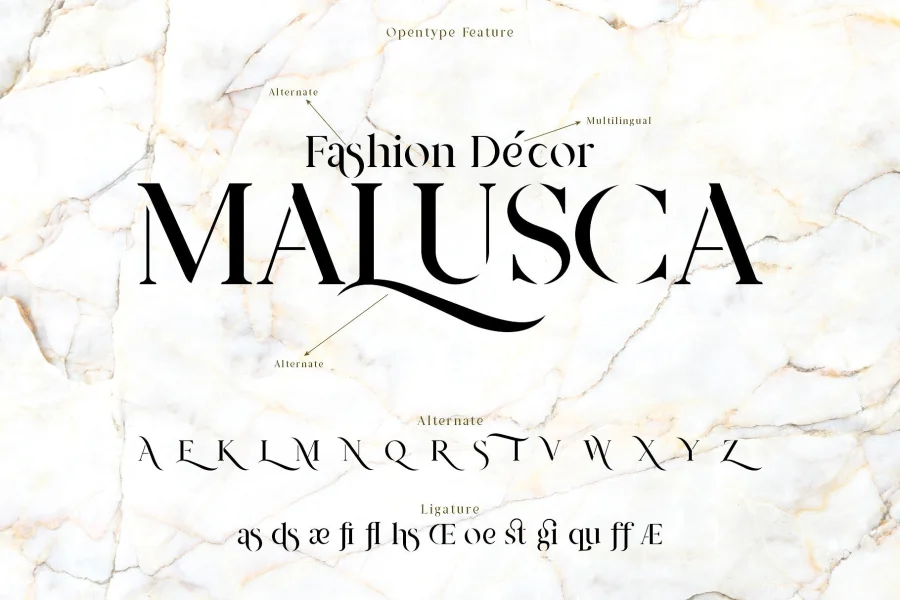 Prestige Signature Script Demo Font preview 7