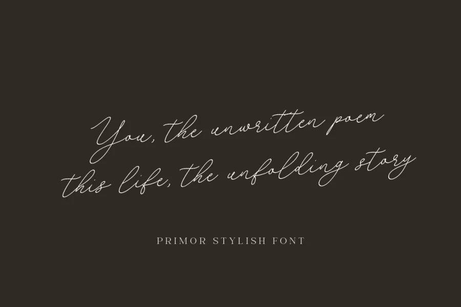 PrimorStylish Font preview 7