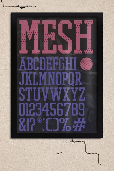 PROMESH Font Family preview 4