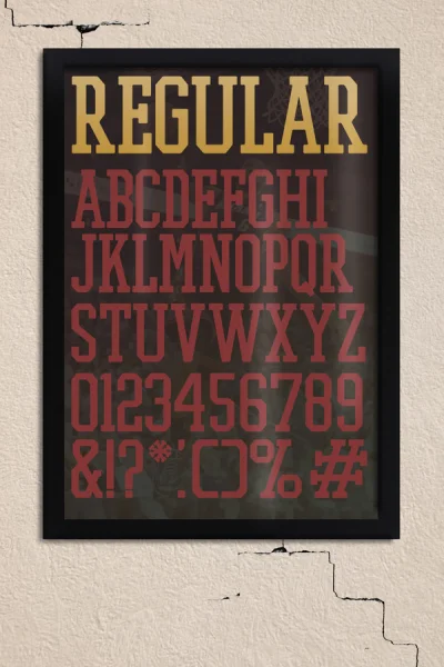 PROMESH Font Family preview 5