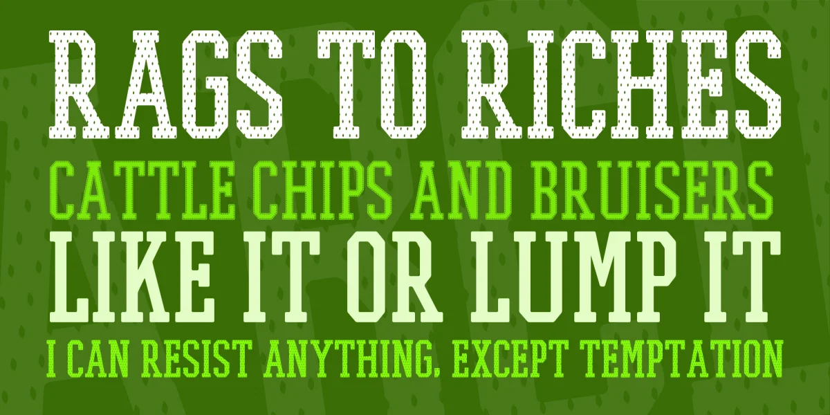 PROMESH Font Family preview 8