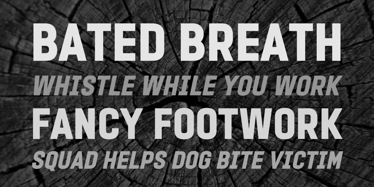 PROMINDER Font Family preview 2