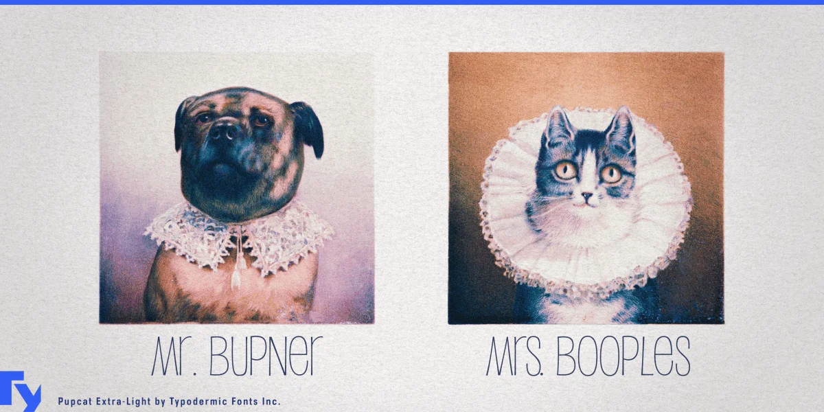 Pupcat Font preview 2