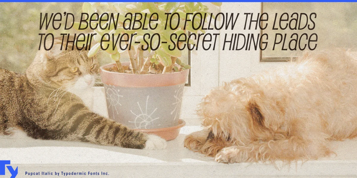 Pupcat Font preview 4