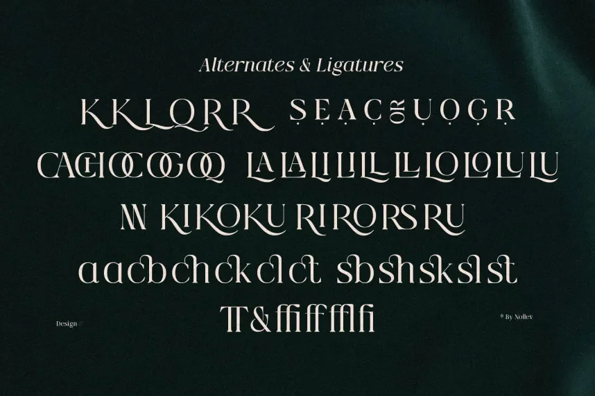 Qlaxe Serif – Classic Modern Serif Font preview 3