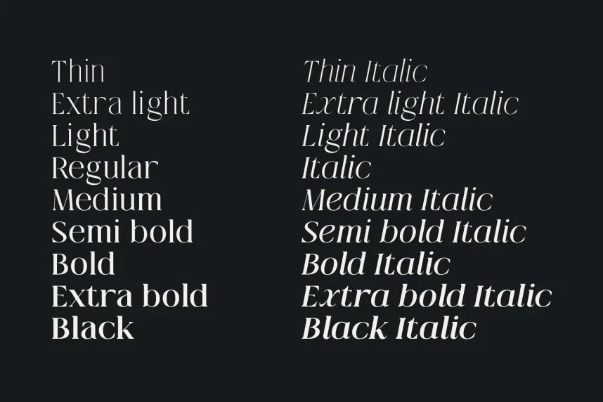 Qlaxe Serif – Classic Modern Serif Font preview 6