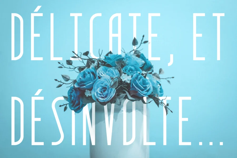 Quatre Quarts Font preview 2