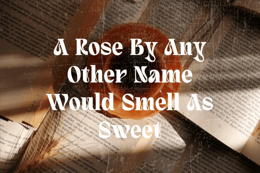Quivert Font preview 6