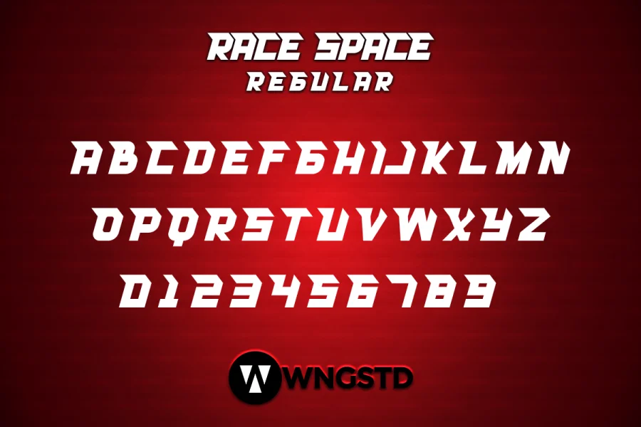 RACE SPACE Font Family preview 6