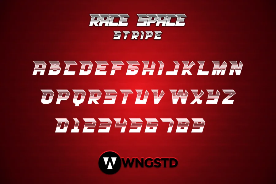 RACE SPACE Font Family preview 7