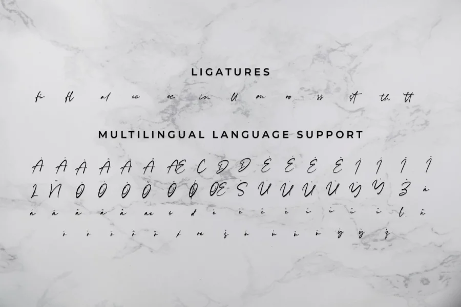 Rachelyne Font preview 15