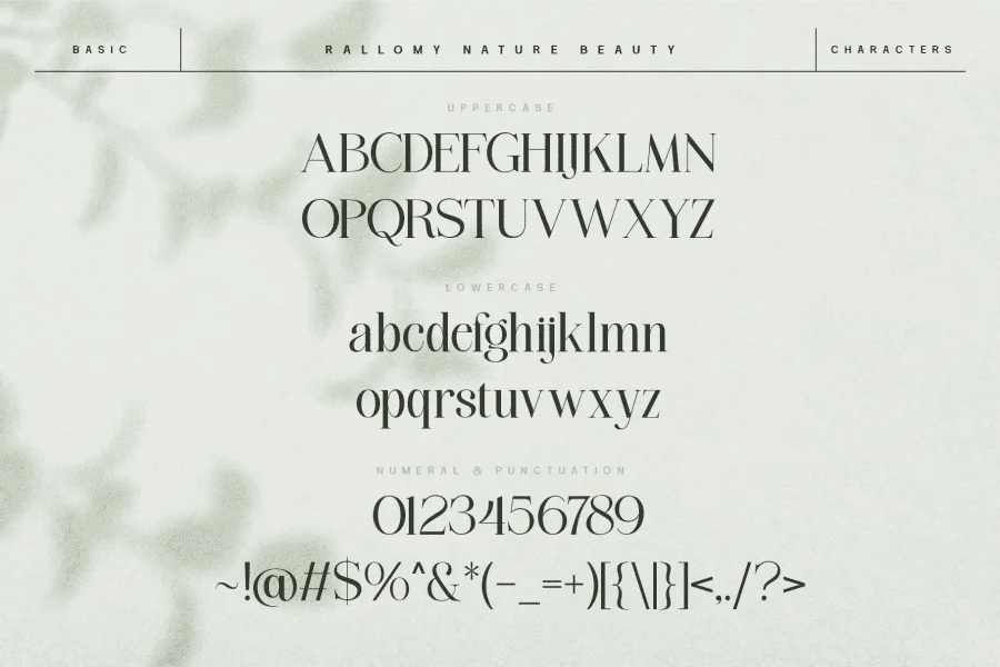 Rallomy Font preview 7