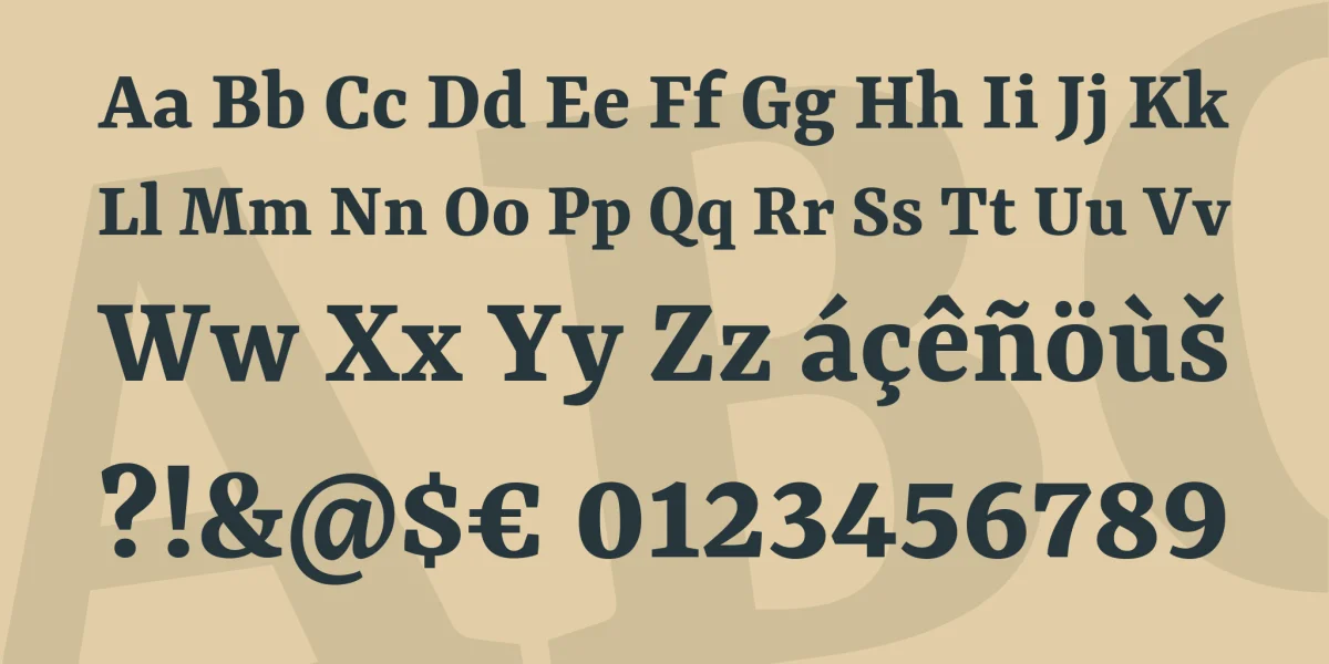 Rasa Font Family preview 4